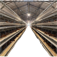 Équipement d'élevage avicole automatique commercial en gros, cage à poules pondeuses de type A et H avec matériau antirouille