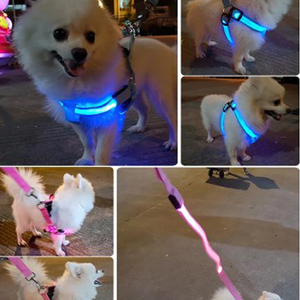 Tali payudara nilon LED, dapat diatur <span class=keywords><strong>Harness</strong></span> anjing tidak tarik kecil sedang bersinar aksesoris keselamatan malam anjing peliharaan - Product Image 5