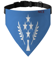 Bandana personnalisé pour animaux de compagnie avec drapeau d'Antigua, collier réglable, tailles S-XL pour chien et chat, pour les promenades quotidiennes et les accessoires photo pour fêtes d'anniversaire