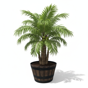 Plateau à fleurs rond en PP de 20.5 pouces avec trous de drainage adapté au sol et à la plantation intérieure/extérieure écologique et durable - Product Image 1