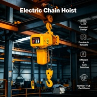Palans électriques à chaîne EQ 05-02 Capacité de charge de 100 lb 220V/380V-480V Câble en acier avec hauteur de levage de 1,5m à 10m et vitesse de levage de 7M/min
