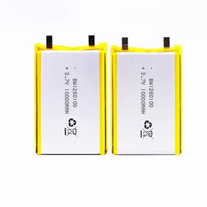 Lipo Battery 10000mah Low Temperature 1000Mah 1500Mah 10000Mah E Cycle Battery 482933 4400Mah 3.7 V Lithium Ion Polymer Lipo Battery