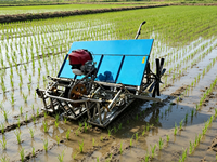 Machine à repiquer le riz facile à utiliser, semoirs et repiqueuses de riz