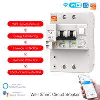 Compteur d'énergie intelligent monophasé WIFI 2P Kwh compteur de surveillance disjoncteur relais temporisé avec protection contre les fuites 63A par TUYA