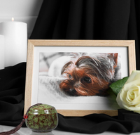 Urne funéraire miniature en céramique émaillée verte pour animaux de compagnie, avec pompon, pour chien, chat, oiseau