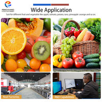 Machine voor het wassen, drogen en sorteren van mandarijnen, raap, tomaten, aardappelen en appels. Op maat gemaakte verwerkingsoplossingen voor groenten en fruit.