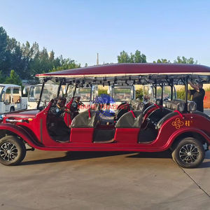 Nuevo y Popular Vehículo Eléctrico Clásico Chino de 8 Plazas, 4000W/5000W, Vehículo Turístico Vintage en Venta - Product Image 2