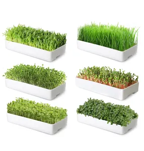 Indoor Garden Easy Grow Indoor Microgreen Seed Tray Microgreens Plastic Trays Extra Strength Hydroponic Grass Trays White