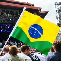 Bandera Personalizable Impresa Digitalmente Antiarrugas de 10x15cm, de Tela de Poliéster Impermeable, para Exteriores, para Animar, de Mano