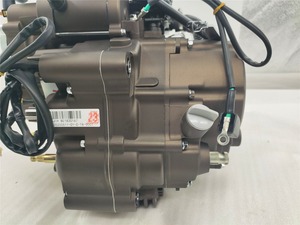 DAYANG LF 300cc raffreddato ad acqua motore tricycl 3 Ruote Assemblaggio Del Motore Del Motociclo di altre moto sistema di motore per ATV UTV - Product Image 5