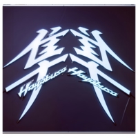 Autocollant EL pour moto Hayabusa DC12V. Réveille l'âme des faucons. Répare la légende. Transforme votre moto en symbole nocturne.