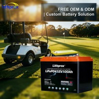 Batterie de secours au lithium LiFePO4 rechargeable 12V 100Ah à faible autodécharge pour voiturette de golf, moteur de pêche à la traîne, marine, camping-car, solaire, Bluetooth