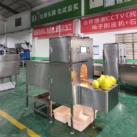 DQ Guangzhou Daqiao Industriële Geïntegreerde Pomelo Groente Schil- en Snijmachine Set Automatisering Fruit Groente