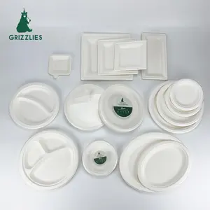 Customized Shrinking Thermoforming Retail Package 6 7 9 10inch Bagasse Fiber Pulp Sugarcane Sugar Cane Round Plate Dish
