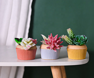 Maceta de Cerámica Esmaltada de Dos Tonos, Estilo Vintage, para Suculentas, con Orificio de Drenaje, Diseño de Cupcake, para Hogar y Jardín - Product Image 4
