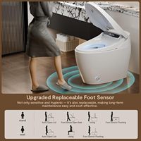 WC intelligent monobloc en céramique blanche certifié CUPC avec couvercle intelligent pour salle de bain