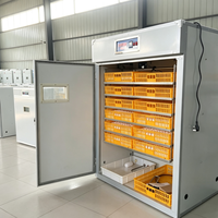 Incubateur automatique pour cailles XM-18D avec contrôleur, en vente
