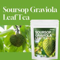 Thé aux feuilles de corossol (Graviola) – Complément Herbal Naturel, Végétalien, Sans OGM pour le Bien-être Quotidien – OEM/ODM