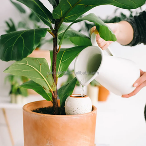Dispositif d'arrosage automatique pour plantes en terre cuite, globe d'arrosage en argile, <span class=keywords><strong>syst</strong></span>ème d'arrosage hebdomadaire pour plantes d'intérieur et d'extérieur - Product Image 3