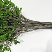 Plantes artificielles décoratives Milan Banyan pour la maison, feuilles réalistes, texture réaliste, ornement de jardin ou de bureau