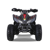 Tao Moteur Atv Utv 4 Portes Frein À Tambour Avant Nouveau Design Sport 5AH Peace Sports Enfants Automatique 125CC 12V 125cc Quad Bike