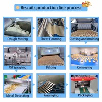 Nouvelle machine automatique en acier inoxydable pour la fabrication de biscuits, prend en charge la ligne de production de biscuits mous et durs personnalisée
