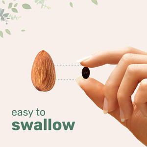 Amazon Sınır Ötesi Çok Satan Aşvaganda Güney Afrika Sarhoş Patlıcan Yumuşak Kapsül Yetişkinler İçin 60 Adet 2 Yumuşak Kapsül Günlük - Product Image 3