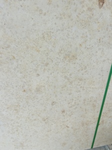 Dalle de travertin beige clair naturel, texture poreuse beige crème classique, pour revêtement mural intérieur, sol, plan de travail, extérieur - Product Image 5