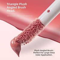 Gloss à lèvres hydratant et repulpant à base d'huile certifié Halal BPOM, enrichi en vitamine E, effet miroir, vente en gros sous marque privée