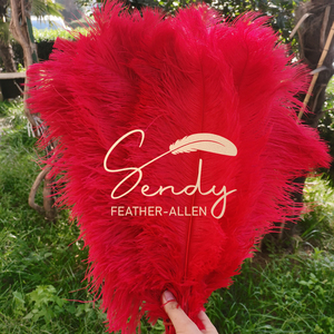 Plumes d'autruche multicolores bon marché sélectionnées de 50-55 cm pour les mariages, les fêtes, les événements, les centres de table, les costumes de <span class=keywords><strong>carnaval</strong></span>, les décorations - Product Image 6