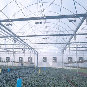 Serre en aluminium Serre agricole en polyéthylène Plastique de jardin de Chine Film Grand fruit pour tables Grand plateau à fleurs - Product Image 3
