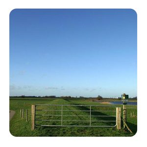 Lage Prijs Stalen Vee Hek Landbouwgrond Hek Barrière Met Horizontale En Verticale Pijp Paardenhek Metaal - Product Image 4