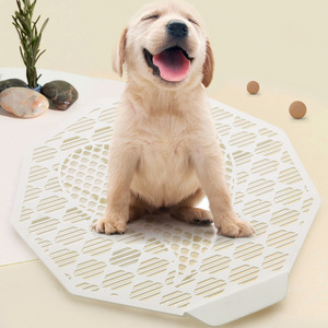 Raccoglitore di Escrementi per Cani Ecologico e Portatile in Plastica per Grandi Spazi Interni/Esterni - Product Image 6