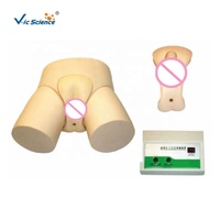 Modèle de formation en soins infirmiers : Mannequin électronique pour l'enseignement et la pratique du cathéter, de l'irrigation et du modèle de col de l'utérus prénatal