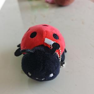 Juguetes de peluche promocionales Logotipo personalizado Ladybird <span class=keywords><strong>Mantis</strong></span> Beetle Cicade Butter Bee Felpa Insecto Llavero de peluche - Product Image 3