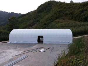 Capannone Intelligente per Allevamento Avicolo - Controllo IoT di Alimentazione, Abbeveraggio e Illuminazione - Product Image 3