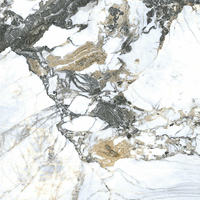 George Group Azulejo de porcelana negra de cuerpo completo para piso Pisos Porcelanato Azulejos 60x60 Precio Marbl Look Tile