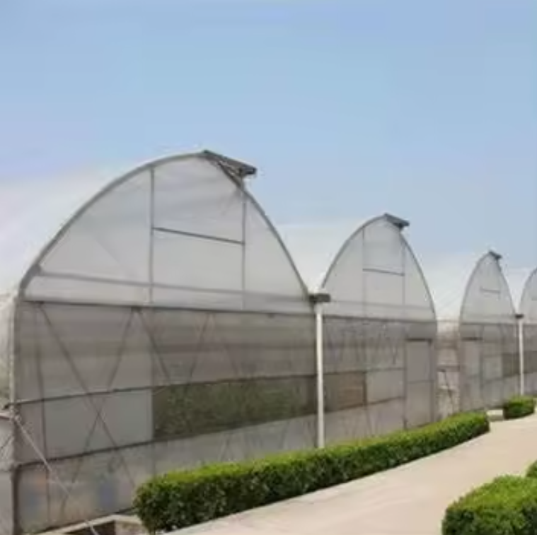 Commercial High Quality Greenhouse Polyethylene Film