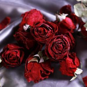 Natural Dried Rose Petals Herbal <b>Tea</b> <b>Infusion</b> Botanical Flower Ingredient Bulk Supply - Product Image 1