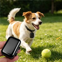 Localizador GPS ESIM Personalizado OEM ODM para Perros y Gatos, Mini Localizador Inalámbrico Impermeable, Admite Personalización de Logotipo y Funciones