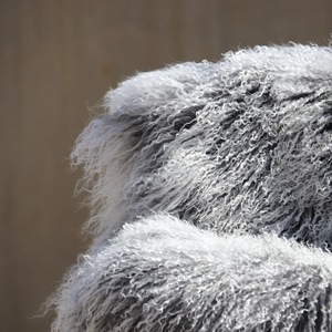 Luxurious 100% Long <strong>Curly</strong> Wool Sheepskin 60x120cm Tibetan Sheepskin Panel Custom Mongolian <strong>Lamb</strong> <strong>Fur</strong> Plate - Product Image 2