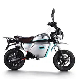Salida de fábrica Profesional 2000W Mini motocicleta eléctrica para carreras