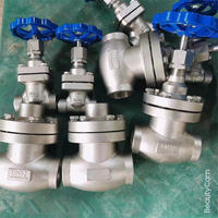 Vanne à soupape en acier inoxydable cryogénique avec longue tige PN40 DN50 extrémité de soudage contrôle manuel basse température OEM personnalisable