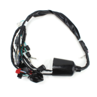 Harness Kabel Surya Tembaga Profesional dengan BMS untuk Sistem Penyimpanan Energi, Aplikasi Komputer dan Sepeda Motor