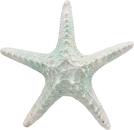 शीर्ष ग्रेस बड़े सागर कोरल सागर स्टार शैल स्टारफिश प्रतिमा 8 "लंबी समुद्री तटीय थीम्ड सजावट के लिए शादी समुद्र तट पार्टी