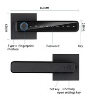 Nueva llegada Manijas de puerta Aplicación de lujo Modelo digital Ttlock Código de desbloqueo Wifi Biométrico inteligente Cerradura de huella digital de puerta