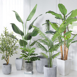 Plante artificielle nordique en plastique, palmier Areca en pot, <span class=keywords><strong>hauteur</strong></span> 100-200 cm, décoration intérieure et aménagement paysager - Product Image 3