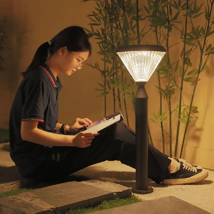 Cina harga yang kompetitif grosir lampu surya untuk taman luar ruangan tahan air Ip65 1m 1.6m 2m Led tiang tinggi cahaya taman pencahayaan