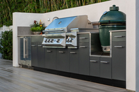 Armoire modulaire BAINENG peinte par pulvérisation micro-électrostatique pour cuisines et meubles de cuisine, idéale pour les barbecues extérieurs