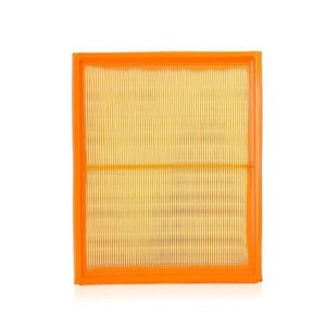 Filtro Fulis para filtro de aire LR005816 Freelander 2 2,2 T/3,2 - Product Image 2